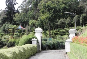 Hakgala_Botanical_Garden